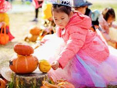 -乐融国际幼儿园(四季青校区)