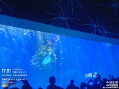 -华夏文旅海洋公园