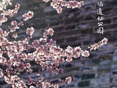 -北京明城墙遗址公园