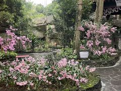 -海口观澜湖火山温泉谷