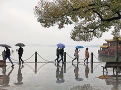 -西湖外事游船(湖滨二公园外事游船码头)