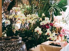 -春暖花开(西溪店)