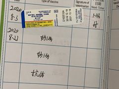-瑞派名望志远动物医院·猫科·內科·异宠专科(直港大道店)