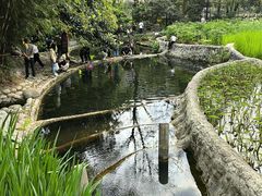 -成都市活水公园