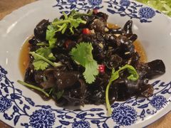 凉拌木耳-陈生记黑鱼馆·20年活鱼现杀(宁波鼓楼店)