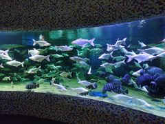 -成都浩海立方海洋公园