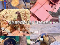 -正佳雨林生态植物园