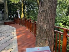 -缙云山景区