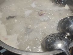 -港升鱼师傅·中山脆肉鲩