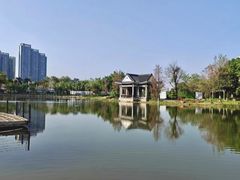 -映月湖公园
