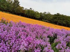 -江苏三台山国家森林公园