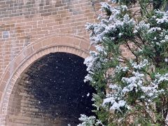 -木塔寺遗址生态公园