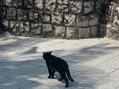 -九龙公园