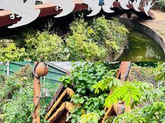 -呀路古热带植物园