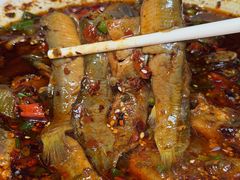 -情妹耙泥鳅·江湖川菜(科华店)