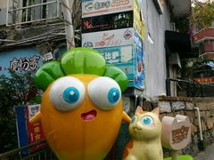 -猫咪博物馆(顶澳仔猫街店)