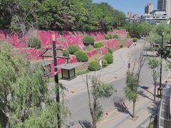 -西安曲江寒窑遗址公园