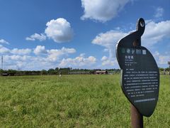 -盐城丹顶鹤湿地生态旅游区