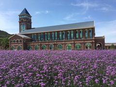 -龙口南山旅游景区