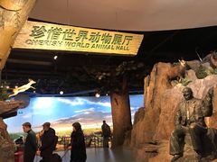 -陕西自然博物馆