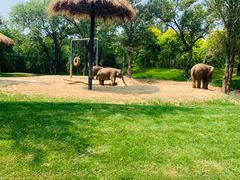 -北京野生动物园