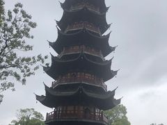 -龙华素斋(龙华路店)