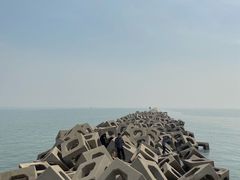 -东疆建设开发纪念公园