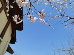 -大连金石滩绿发温泉假日酒店