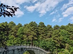 -铁山坪森林公园