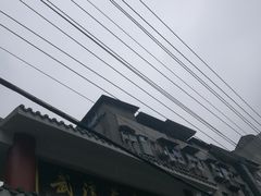 -武汉花鸟市场