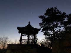 -大兴滨河森林公园