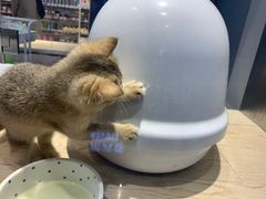 -圆融星座购物中心