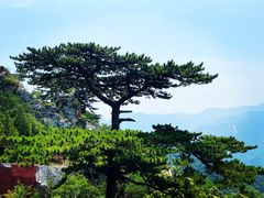 -圣莲山风景区