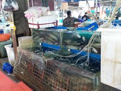 -四道口水产市场