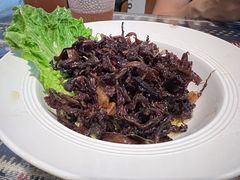 -蜗牛小馆醉乡民谣云南菜(惠新西里店)