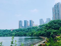 -重庆彩云湖湿地公园