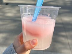 -萨朗刀克冰淇淋雪花凉(植物园店)