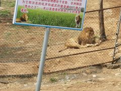 -西霞口神雕山野生动物世界