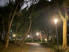 -深圳湾公园(南山区)