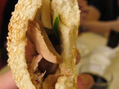 -九花山烤鸭店