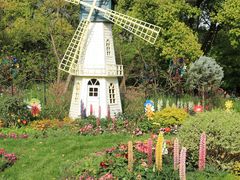 -上海共青森林公园