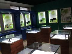 -上海昆虫博物馆