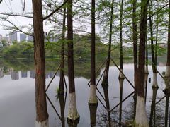 -重庆彩云湖湿地公园