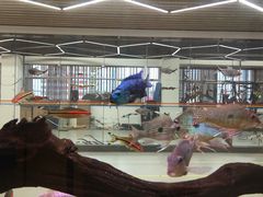 -弓舍射箭俱乐部(高新总店)