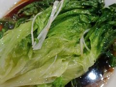 浇汁生菜-普天和酒楼·新津菜·烤鸭(天津之眼店)