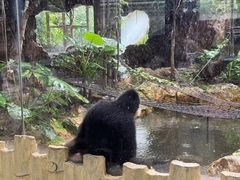 -长鹿旅游休博园