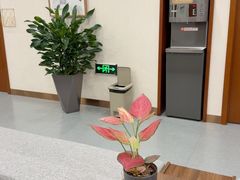 -慈铭体检(北京奥亚分院)