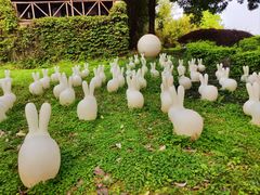 -森波拉火山温泉