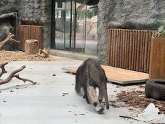 -武汉动物园