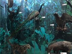 -国家自然博物馆